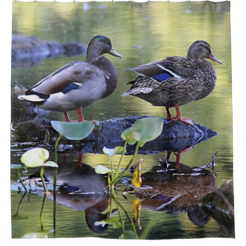 Mallard ducks shower curtain