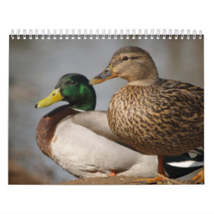 Mallard Ducks Sportsmen Calendar