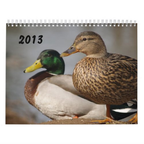 Mallard Ducks Sportsmen Calendar 2014