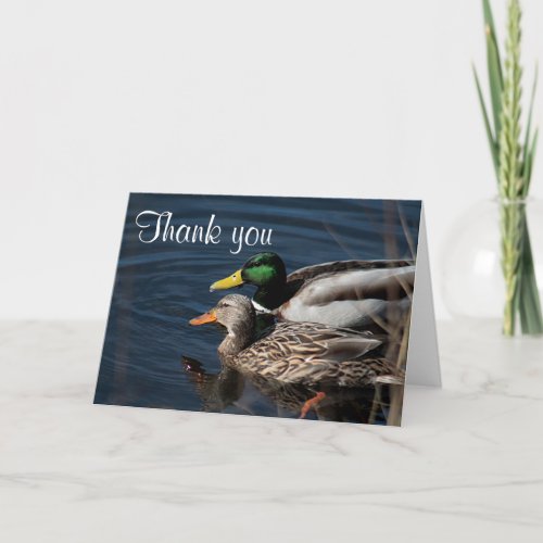 Mallard ducks thank you card