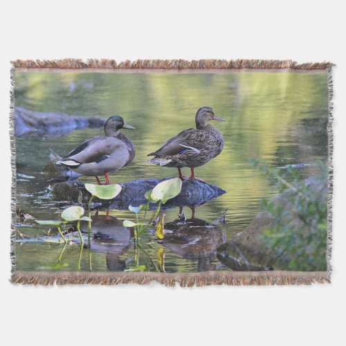 Mallard ducks throw blanket