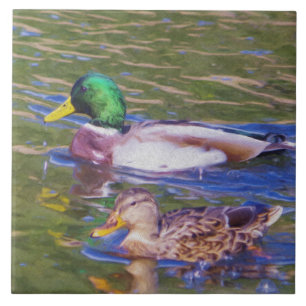 Mallard Ducks Tile