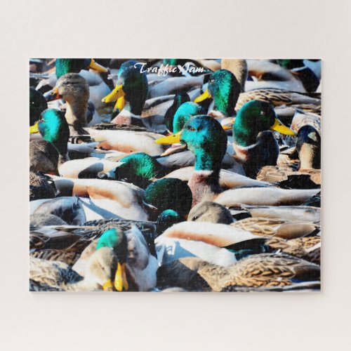 Mallard Ducks Traffic Jam Jigsaw Puzzle