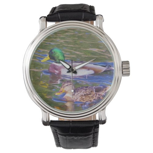 Mallard Ducks Watch