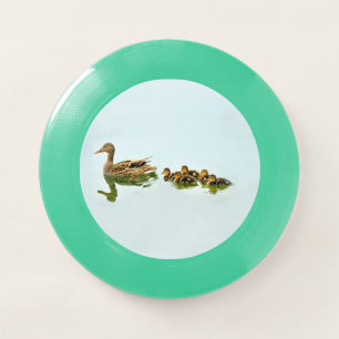 Mallard Ducks Wham-O Frisbee