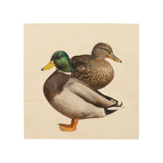 Mallard Ducks  Wood Wall Art