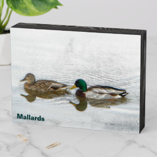 Mallard Ducks Wooden Box Sign