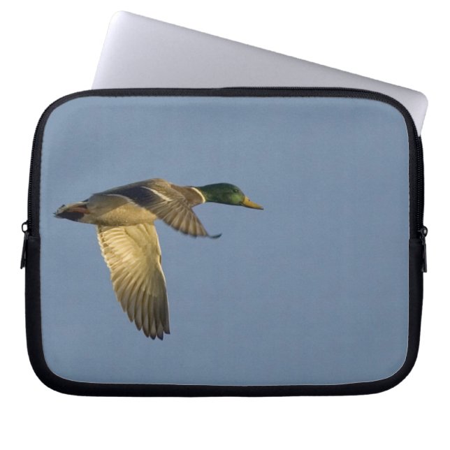 Mallard Flying in Open Sky Laptop Computer Sleeve (Front)
