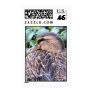 Mallard Hen Postage