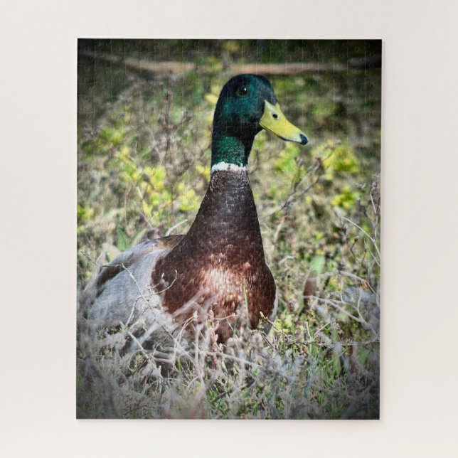 Mallard Jigsaw Puzzle (Vertical)
