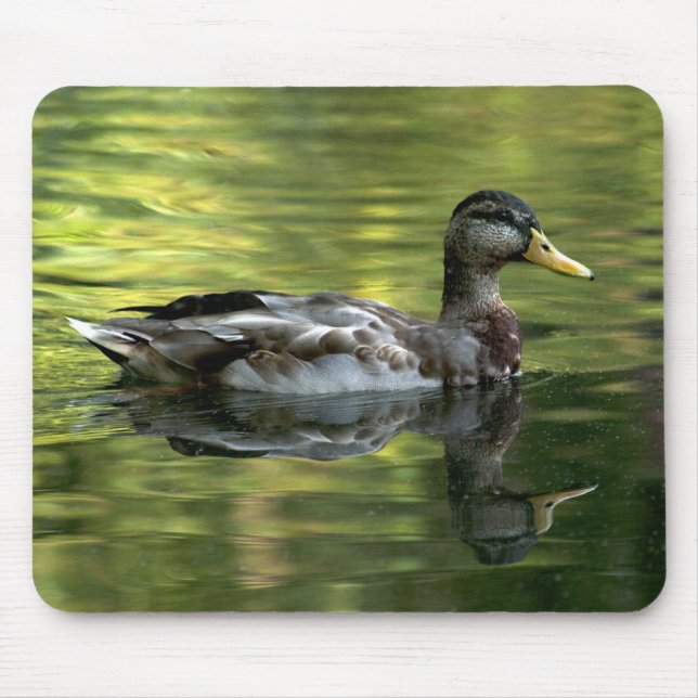 Mallard Mirrored On Green Water Mouse Pad (Front)