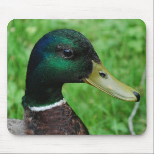 Mallard Mouse Pad