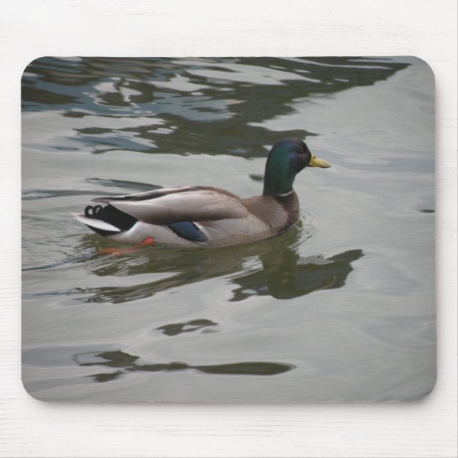 Mallard Mousepad (Front)