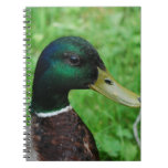 Mallard  Notebook