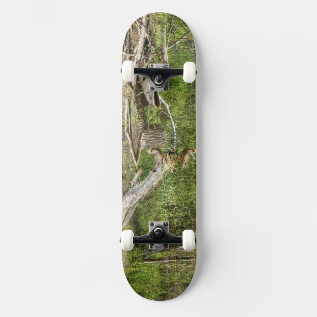 Mallard on Pond Skateboard Deck (Front)