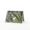 Mallard on the Pond 2- customize any occasion