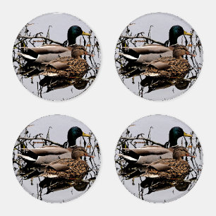 Mallard Pair Acrylic Coasters