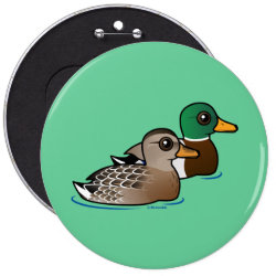 Cute Mallard Pair Round Button
