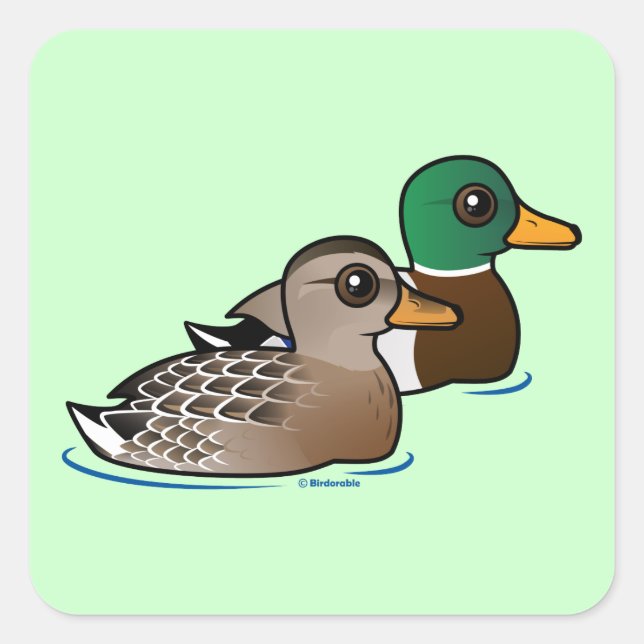 Mallard Pair Square Sticker (Front)