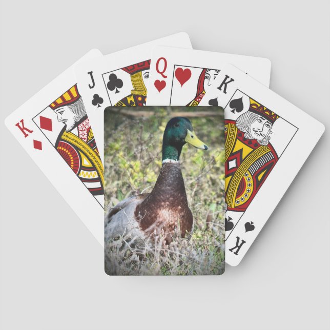 Mallard Poker Cards (Back)