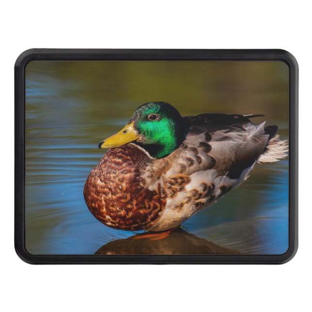 Mallard Portrait  Hitch Cover (Front)