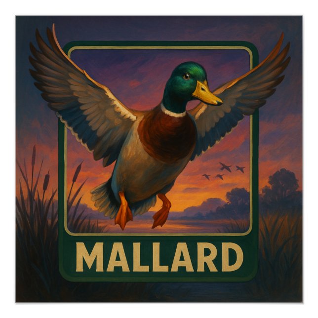 Mallard Poster (Front)