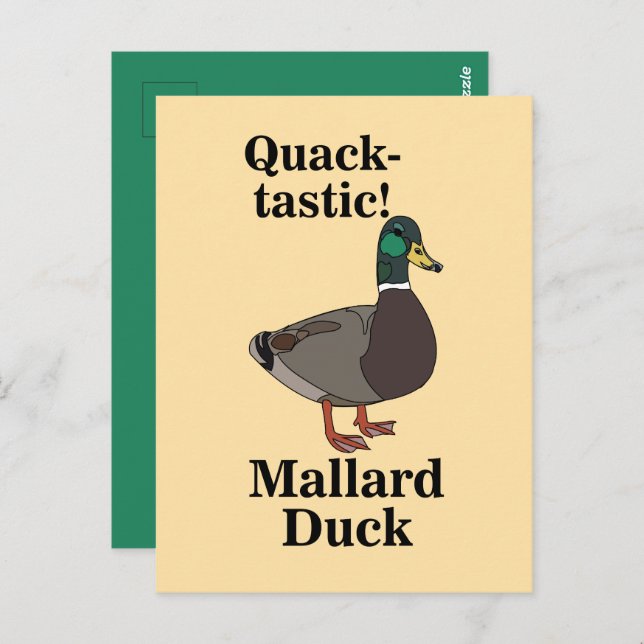 Mallard Quack-Tastic Duck  Postcard (Front/Back)
