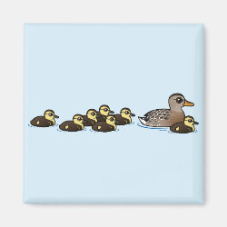 Mallard & seven ducklings Square Magnet