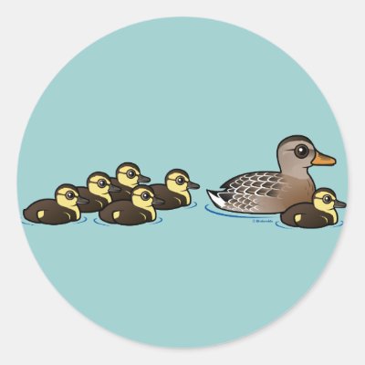 Mallard &amp; six ducklings classic round sticker