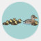 Mallard &amp; six ducklings classic round sticker