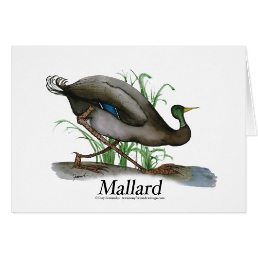 mallard, tony fernandes cards (Front Horizontal)