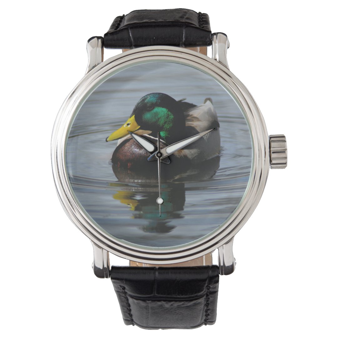 Mallard Watch | Zazzle