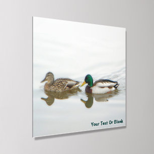 Mallards Acrylic Photo Tile