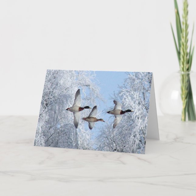 MALLARDS DUCK Note Card (Front)