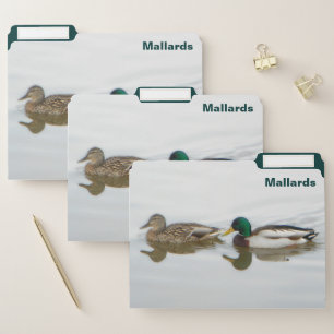 Mallards File Folder