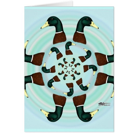 Mallards Galore! Cards (Front)
