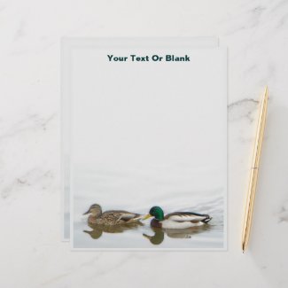 Mallards