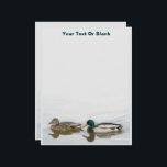 Mallards Letterhead<br><div class="desc">Two Mallard ducks, a drake and a female, swim together in an Alaskan pond. Customize by adding your own text. The Mallard, Anas platyrhynchos, breeds throughout the temperate and subtropical Americas, Europe, Asia, and North Africa, and has been introduced to New Zealand and Australia. Male birds have a bright green...</div>