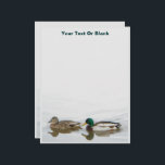 Mallards Letterhead<br><div class="desc">Two Mallard ducks, a drake and a female, swim together in an Alaskan pond. Customize by adding your own text. The Mallard, Anas platyrhynchos, breeds throughout the temperate and subtropical Americas, Europe, Asia, and North Africa, and has been introduced to New Zealand and Australia. Male birds have a bright green...</div>