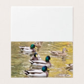 Mallards on the pond (Outside Unfolded)