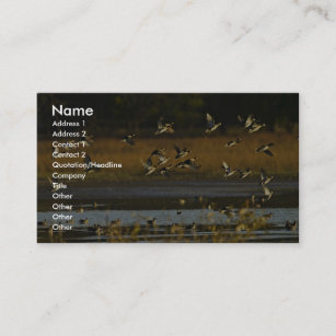 Mallards rising from water business card