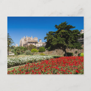 Mallorca - Cathedral of Palma postcard