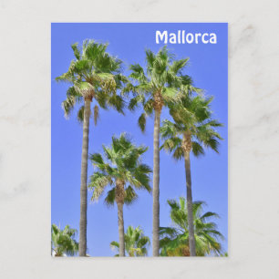 Mallorca Palm Trees Postcard