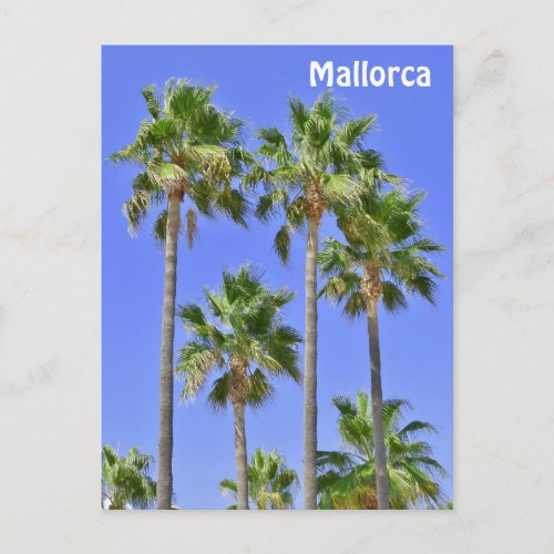 Mallorca Palm Trees Postcard