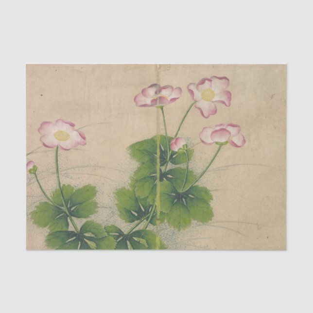 Mallow Flowers by Zhang Ruoai Tissue Paper (Front)