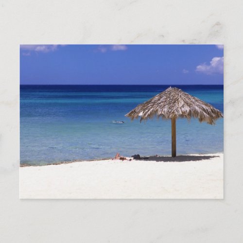 Malmok Beach Aruba Netherlands Antilles Postcard