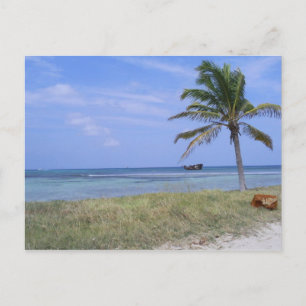 Malmok Beach in Aruba Postcard