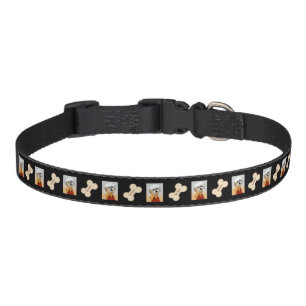 Malshi And Bone Black Pet Collar With Name
