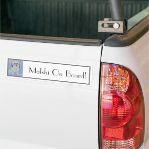 Malshi Dog Bumper Sticker