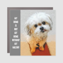 Malshi Dog Car Magnet